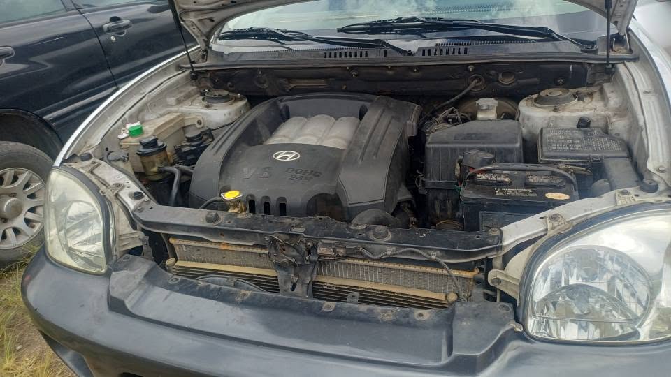 2006 Hyundai Santa Fe - foto 3