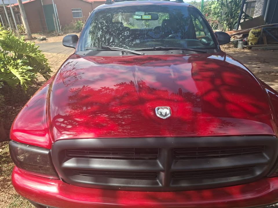 1999 Dodge Dakota - foto 3