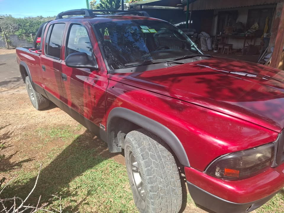 1999 Dodge Dakota - foto 4