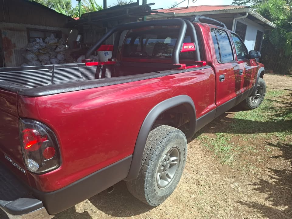 1999 Dodge Dakota - foto 5