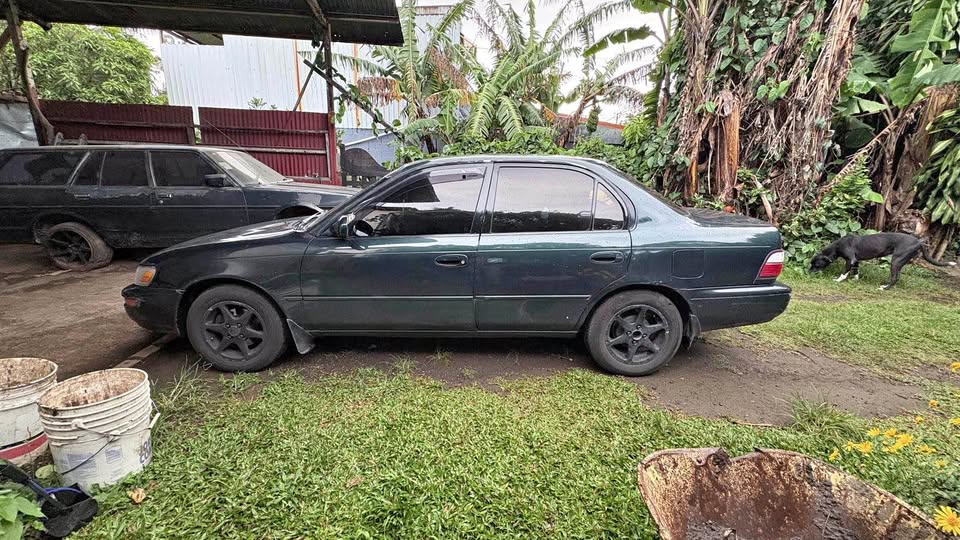 1996 Toyota Corolla - foto 2