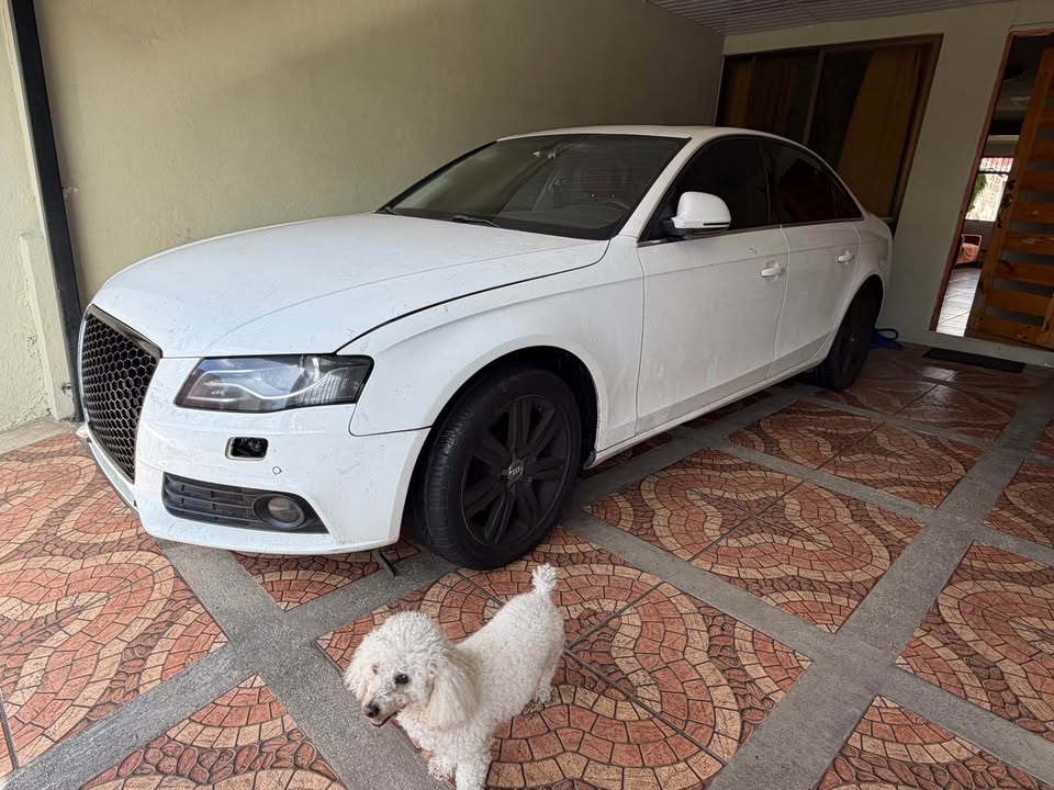 2009 Audi A4 - foto 3