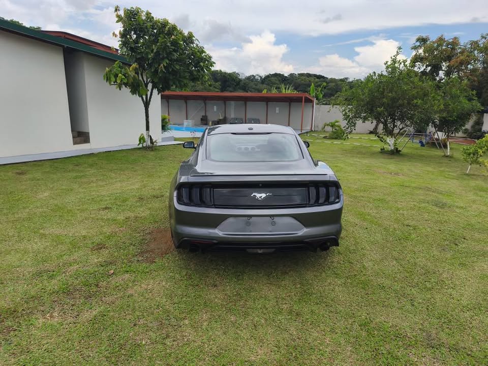 2020 Ford Mustang - foto 5