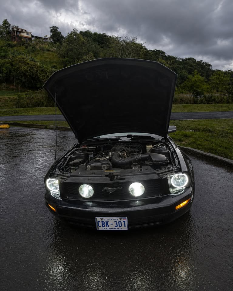 2008 Ford Mustang