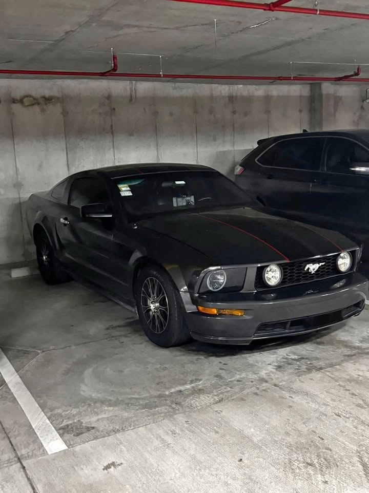 2008 Ford Mustang