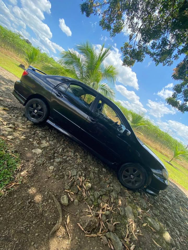 2003 Toyota Corolla - foto 5