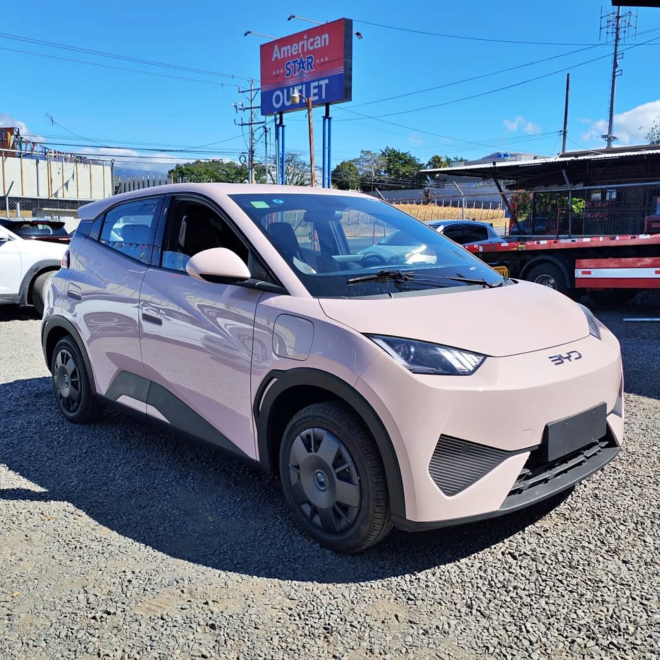 2025 BYD Seagull