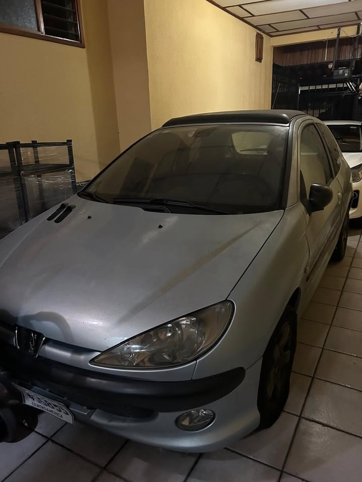 2002 Peugeot 206