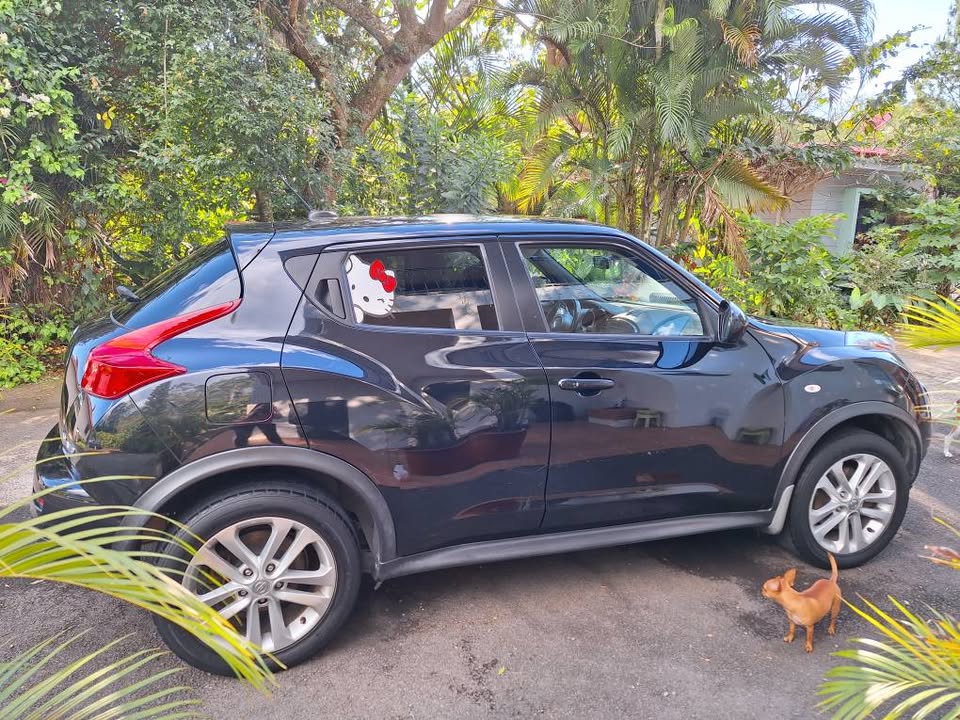 2012 Nissan Juke - foto 3